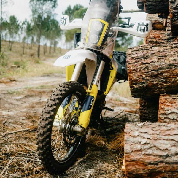 andre-filipe-qh9Qj3HIzc0-unsplash